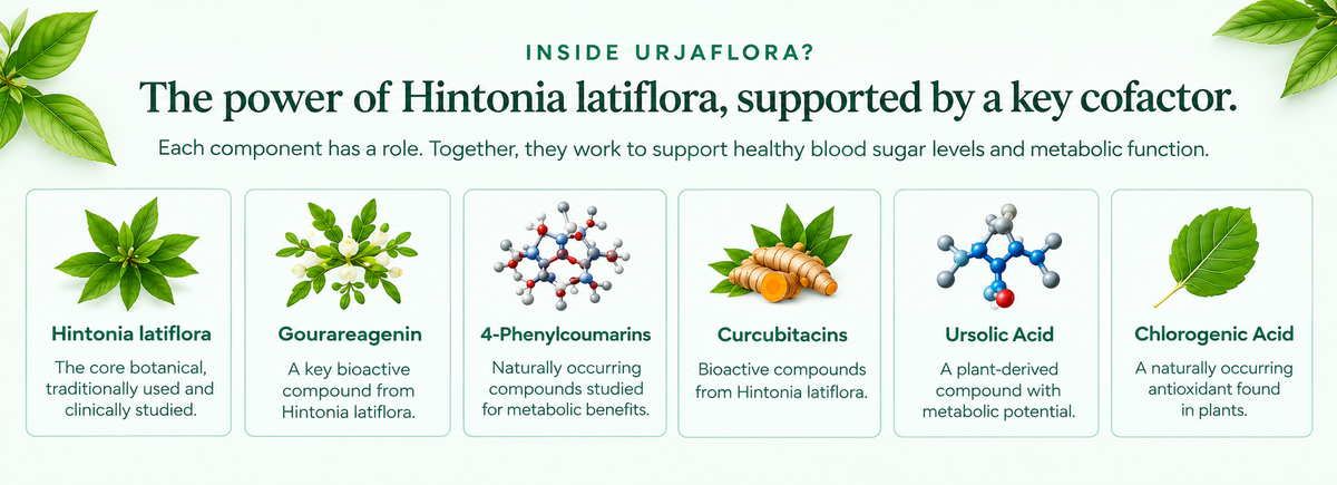 A diabetes-support formula built on published research. Desktop Banner