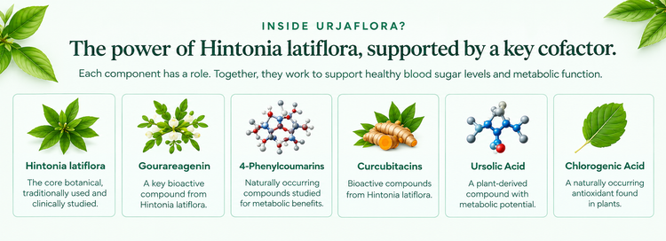 A diabetes-support formula built on published research. Mobile Banner