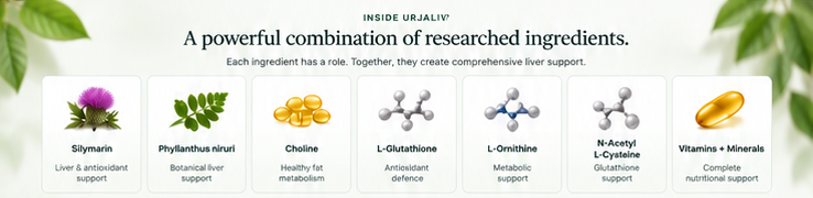 Urjaliv Desktop Banner